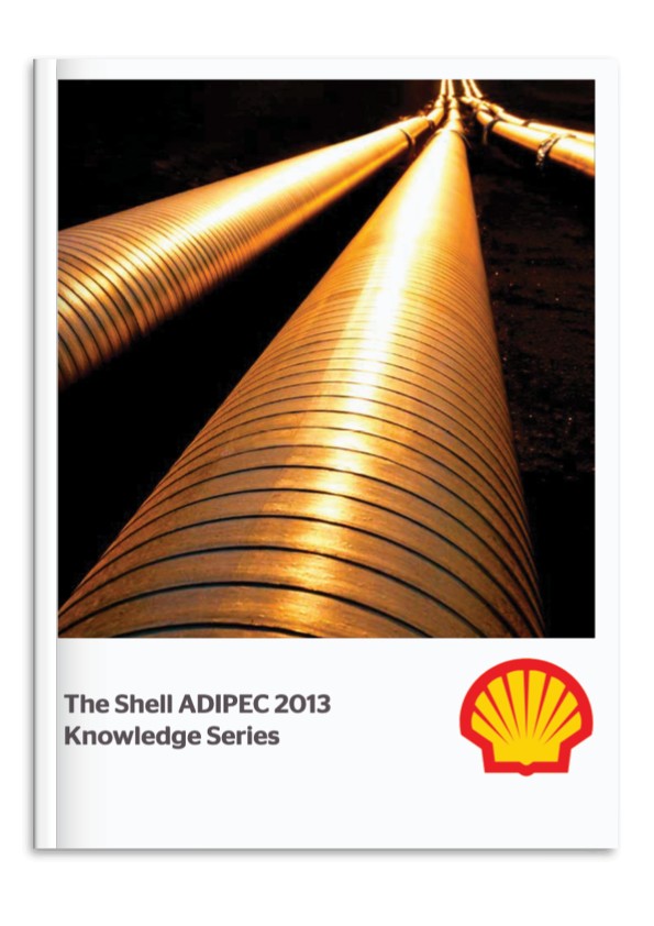 2013 Shell 2