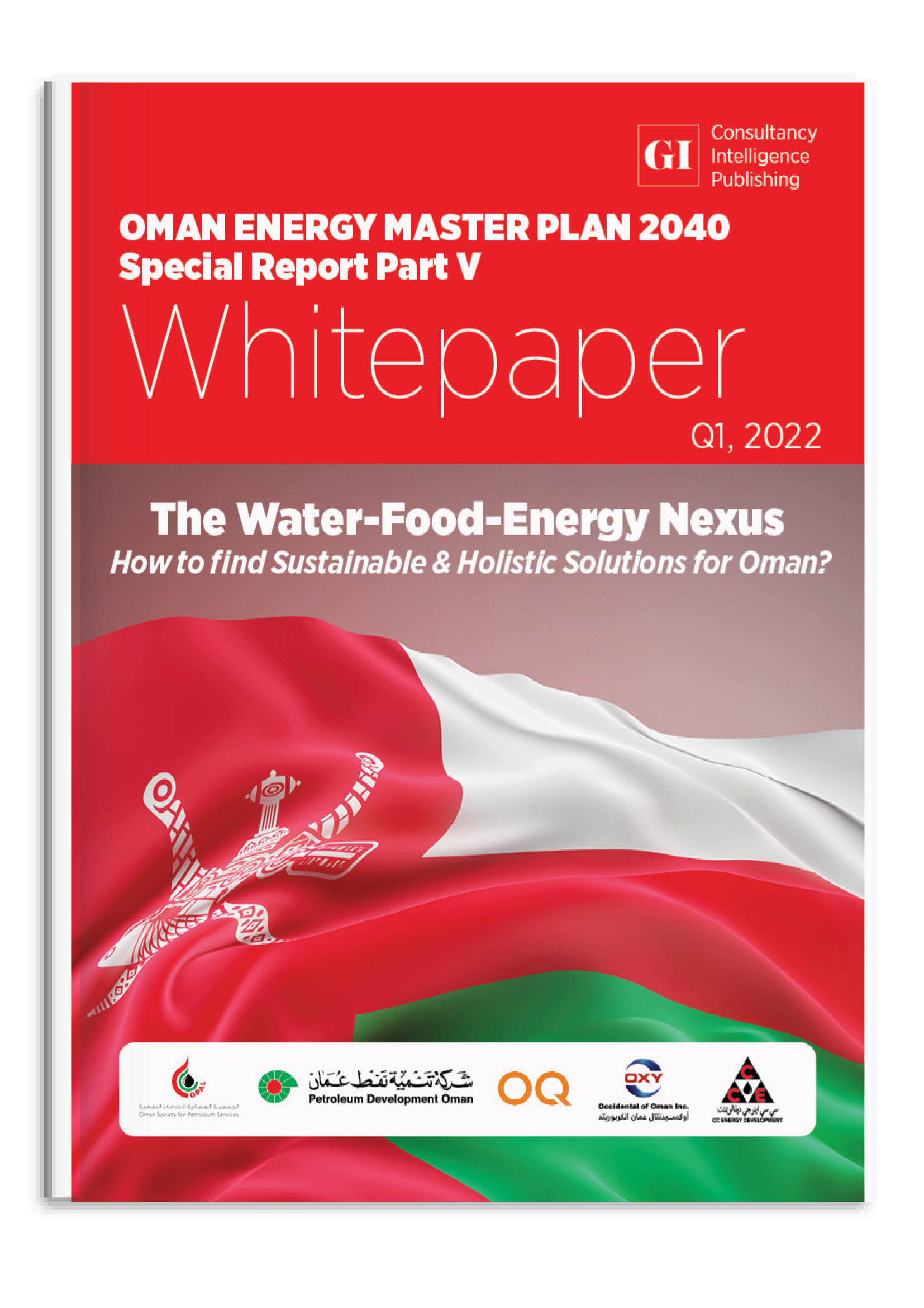 OMAN ENERGY MASTER PLAN 2040