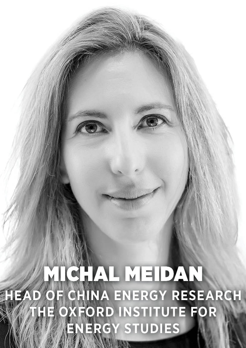 Michal Meidan